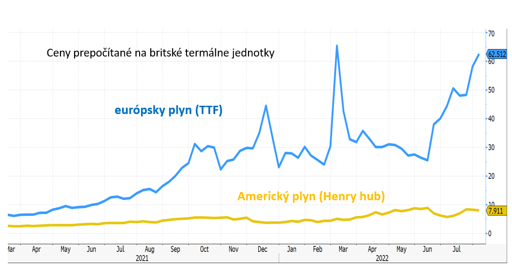 Graf 1 - Ceny európskeho plynu Graf 1 - Ceny európskeho plynu