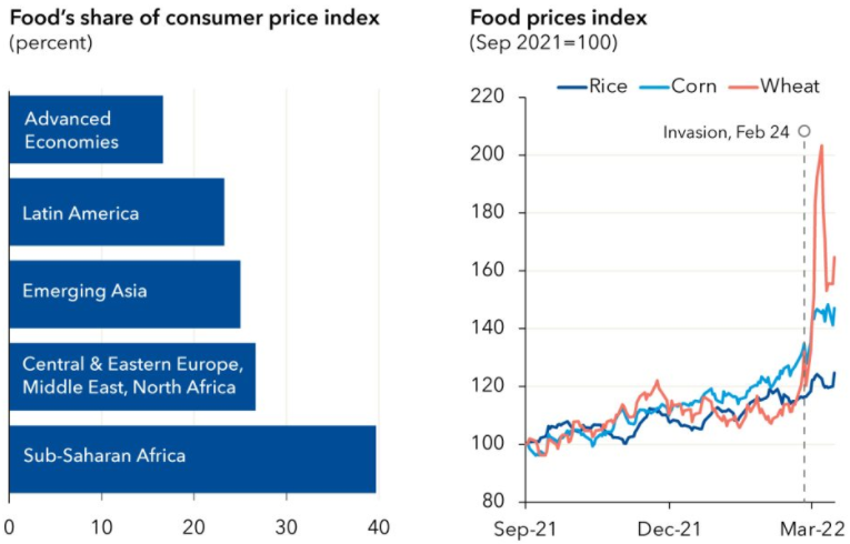 Graf 1 Index cien obilnín a podiel potravín na výdavkoch domácností v rôznych krajinách sveta